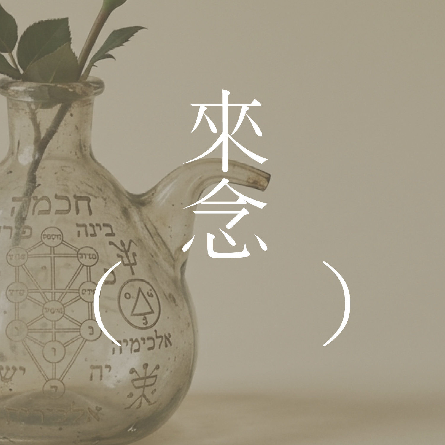 78 讨论博尔赫斯的「帕拉塞尔苏斯的玫瑰」 episode artwork
