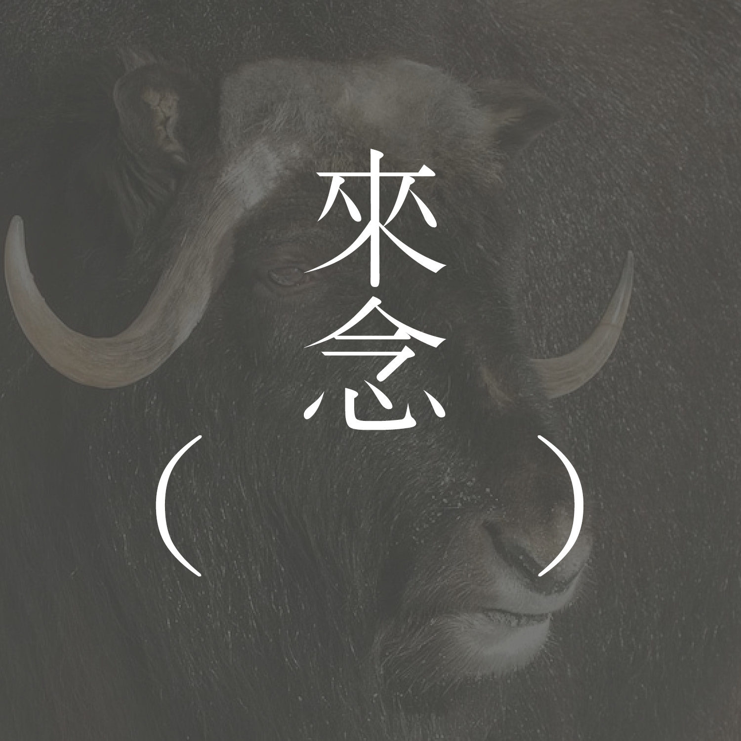 38 水牛（克拉丽斯·李斯佩克朵）【短篇小说】O Búfalo - Clarice Lispector | 去动物园，寻找恨 | 难道会有平静的、纯粹的恨？ | 以感性驱动的理性文章 episode artwork