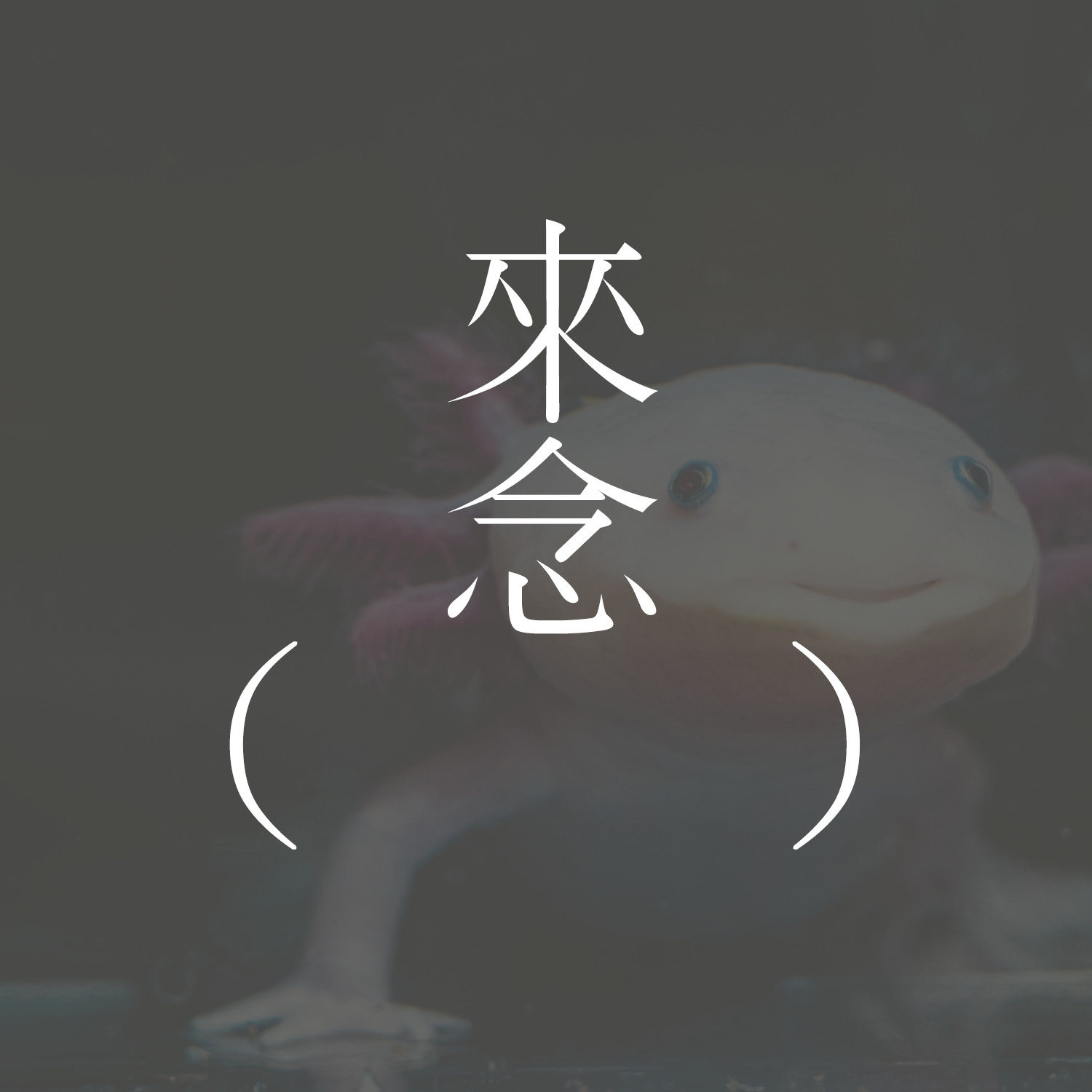 37 美西螈（胡里奥·科塔萨尔）【短篇小说】Axolotl - Julio Cortázar | 凝视墨西哥钝口螈 | 意识已腾挪 | 增加魅惑 | 莫比乌斯环般的叙述 episode artwork
