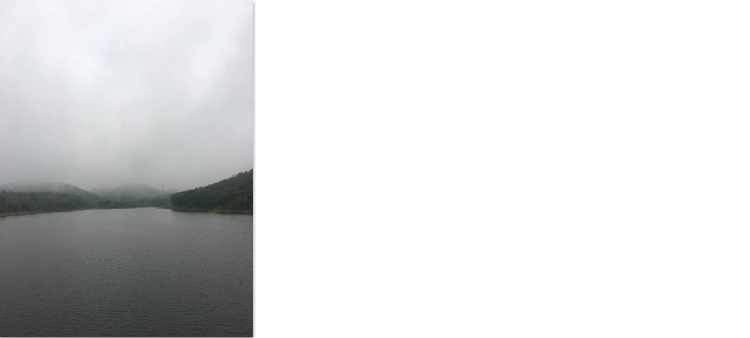 landscape.png