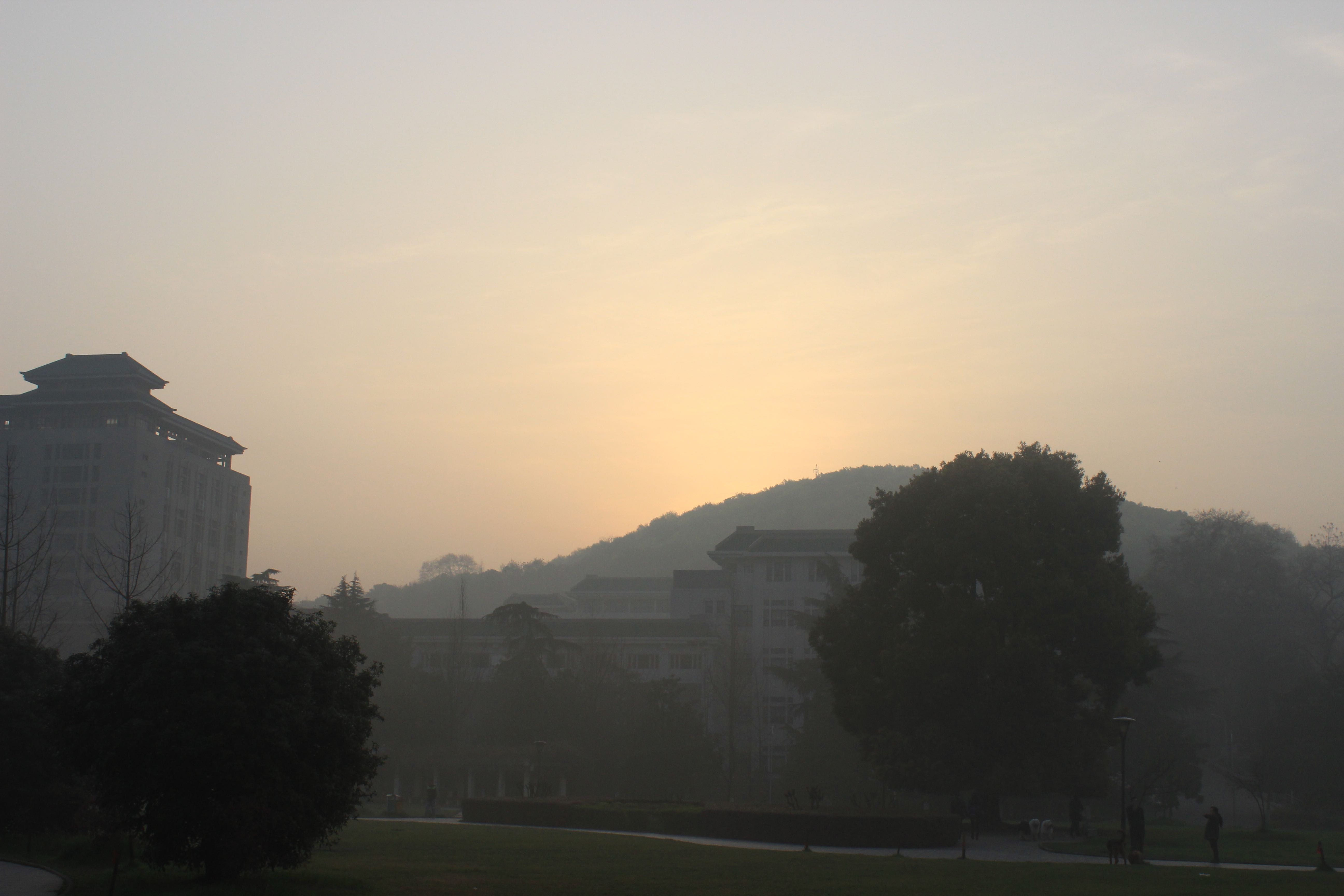 清晨的珞珈山.jpg