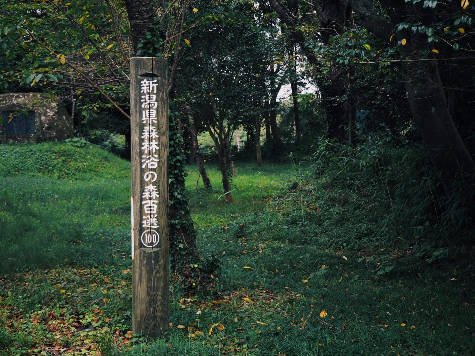 城山公園