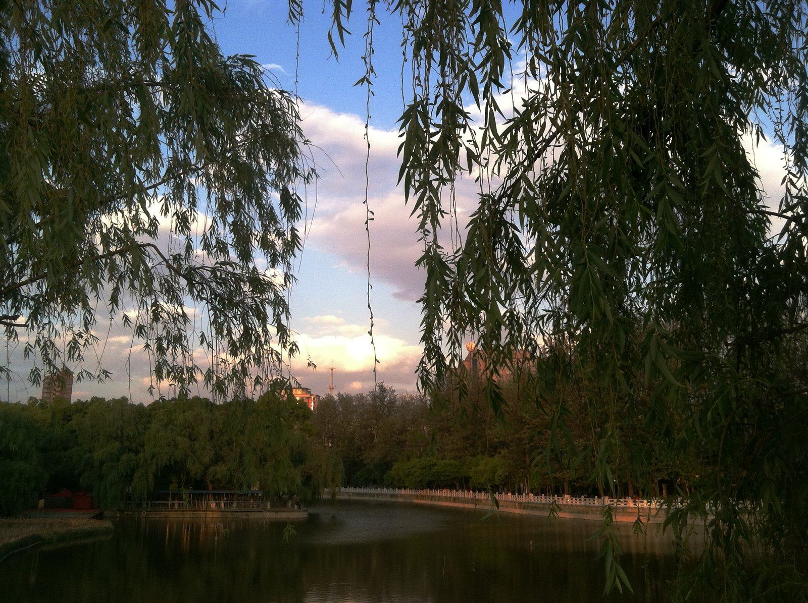 夕陽下的翠湖