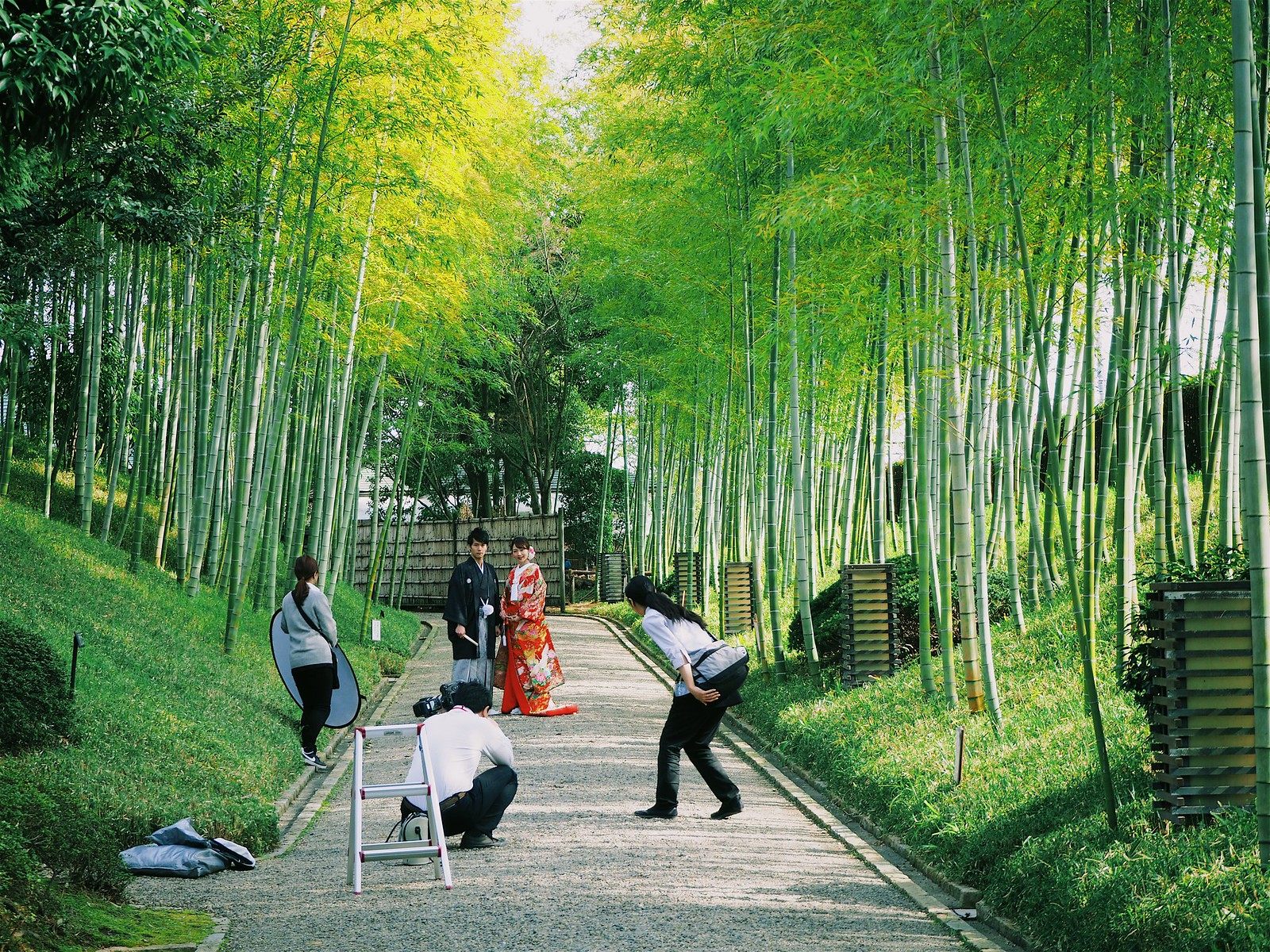 竹林