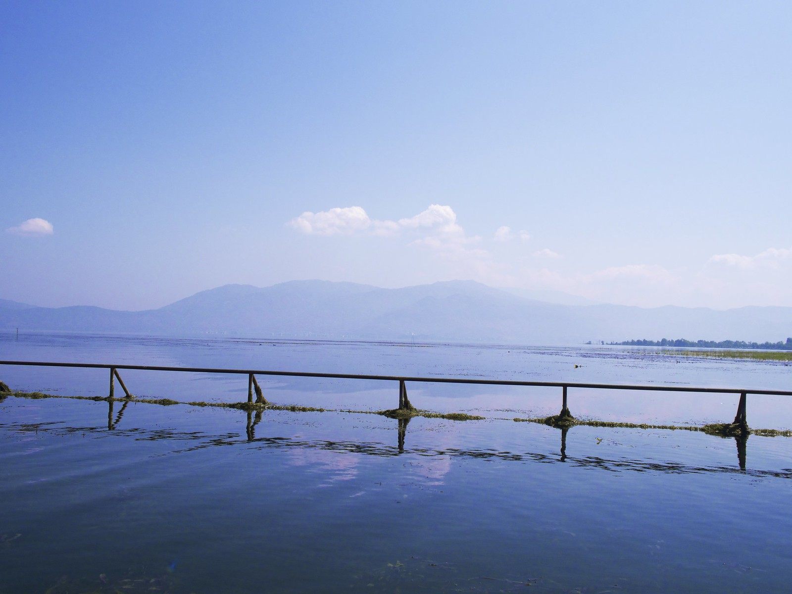 洱海