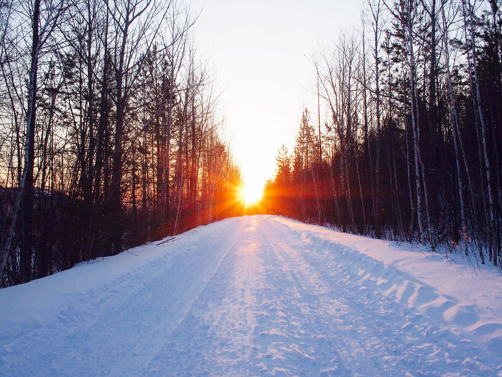日出在雪地公路上