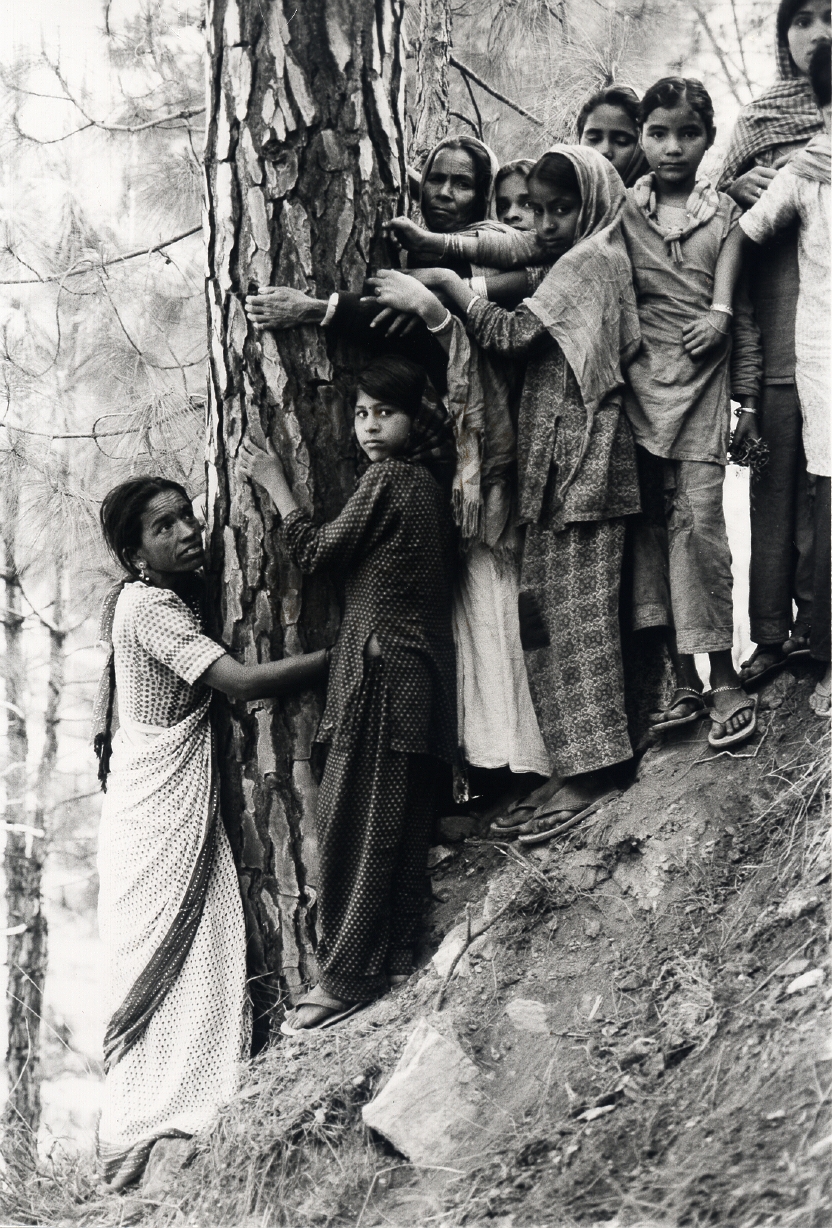 chipko-movement_1970 (1).jpg