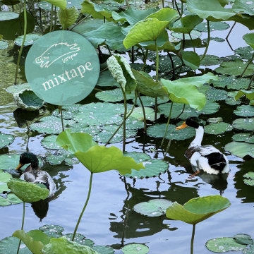 春泥穿过峡湾在老宅醒来，Mixtape擦亮小号和萨克斯