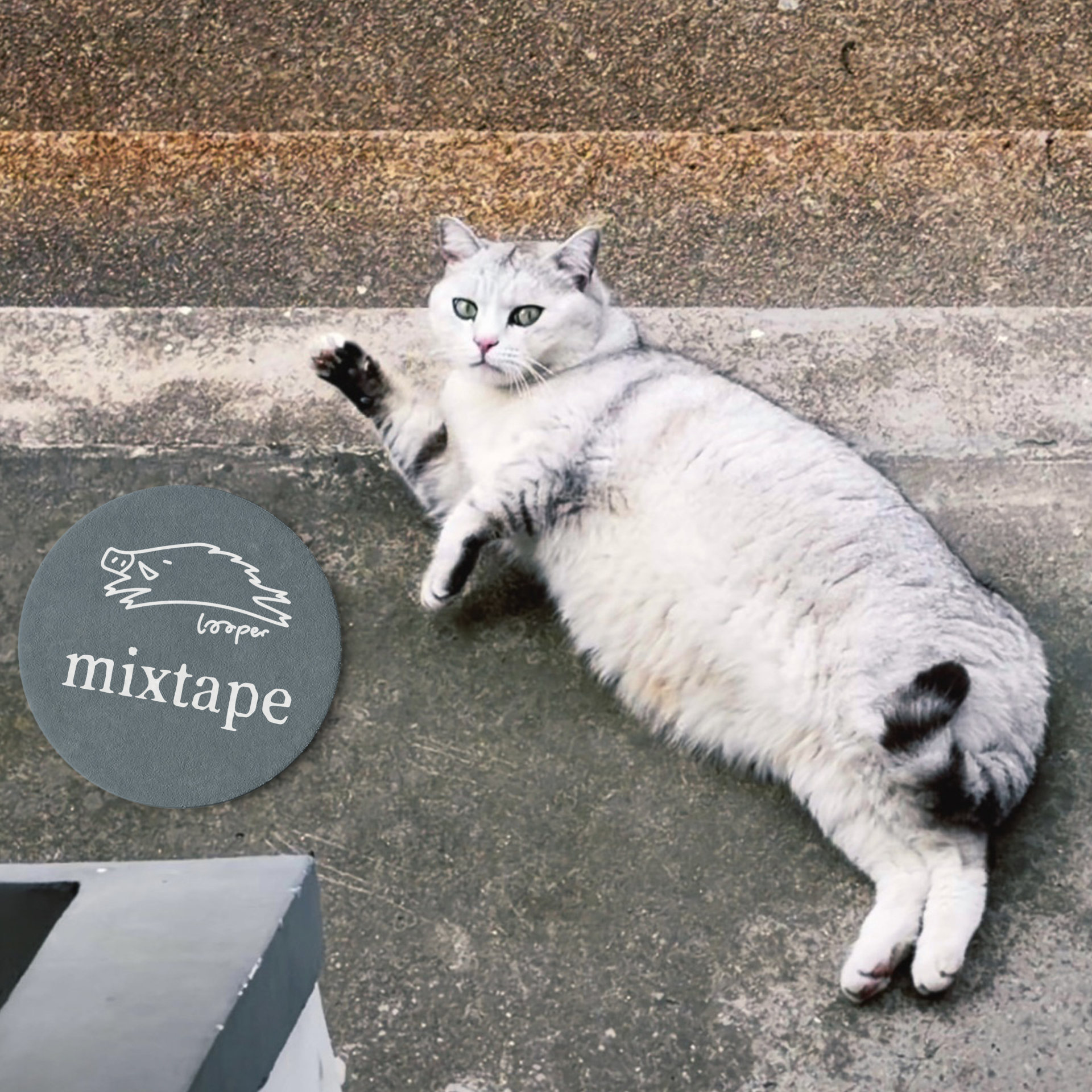 春风被Mixtape撞了下腰，拔腿往山上跑