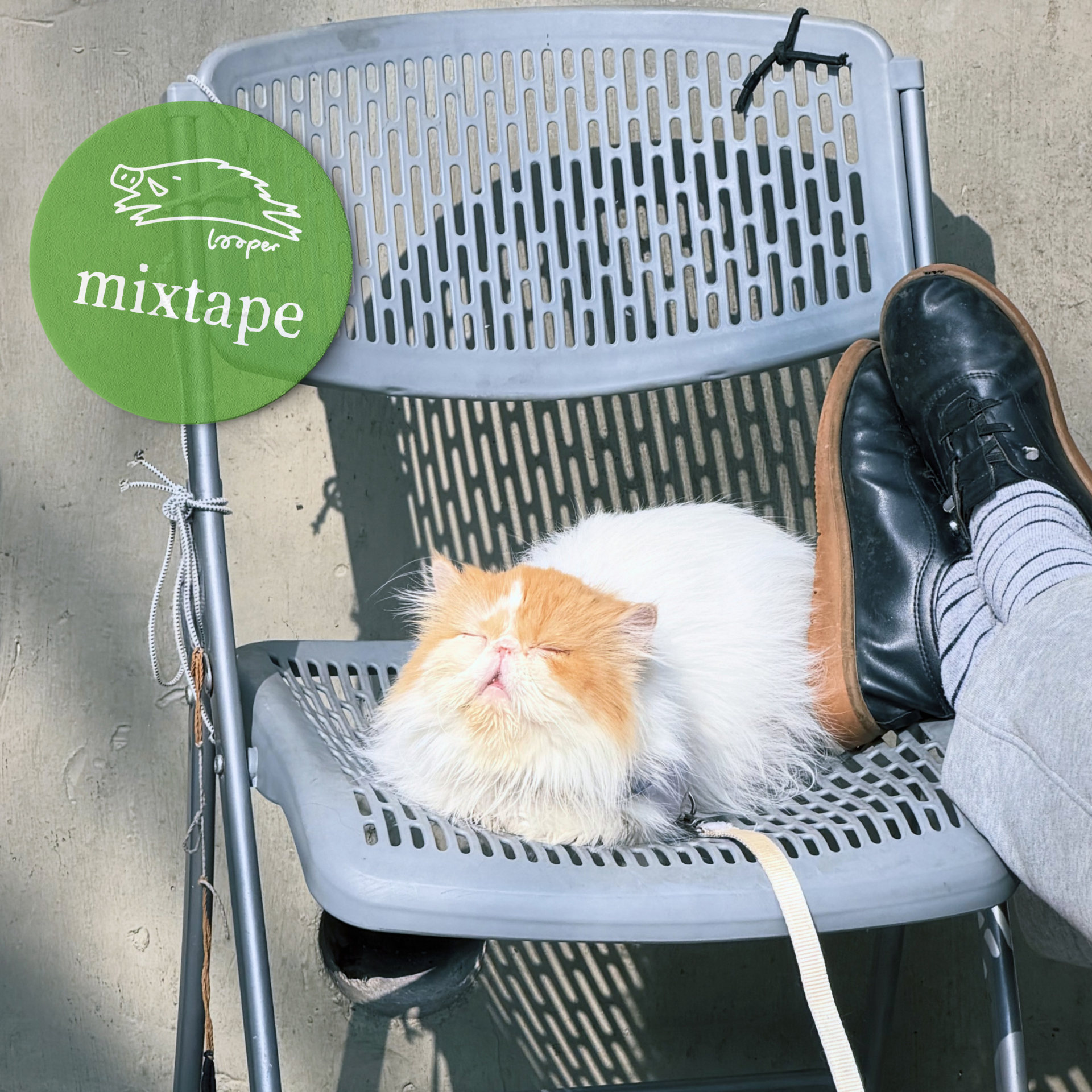 春雨乒乒乓乓打落在Mixtape的额头上