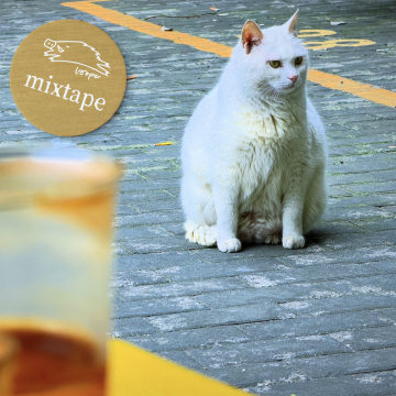 父母给姐弟打了一辆Mixtape在空城游荡