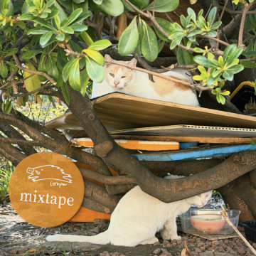 八美图顺手摘下一朵Mixtape的桃花