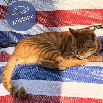 挺着肚皮的Mixtape打着灯笼猜火车