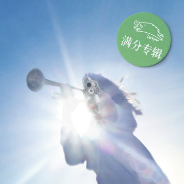 Geese满分专辑，惨绿少年的混沌喜剧，Cameron Winter正在被好日子扼杀