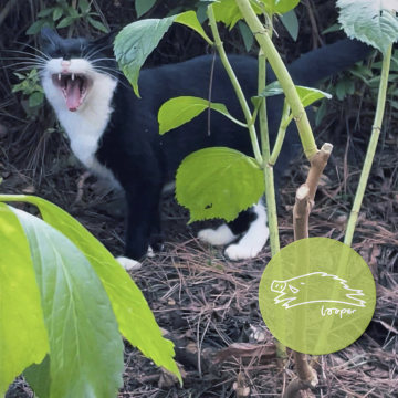 红头发的Mixtape贴着白墙起舞