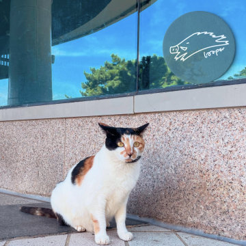 秋千搂着Mixtape在葡萄园左摇右晃