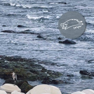 秋葵干了三杯Mixtape，转身游向深夜港湾