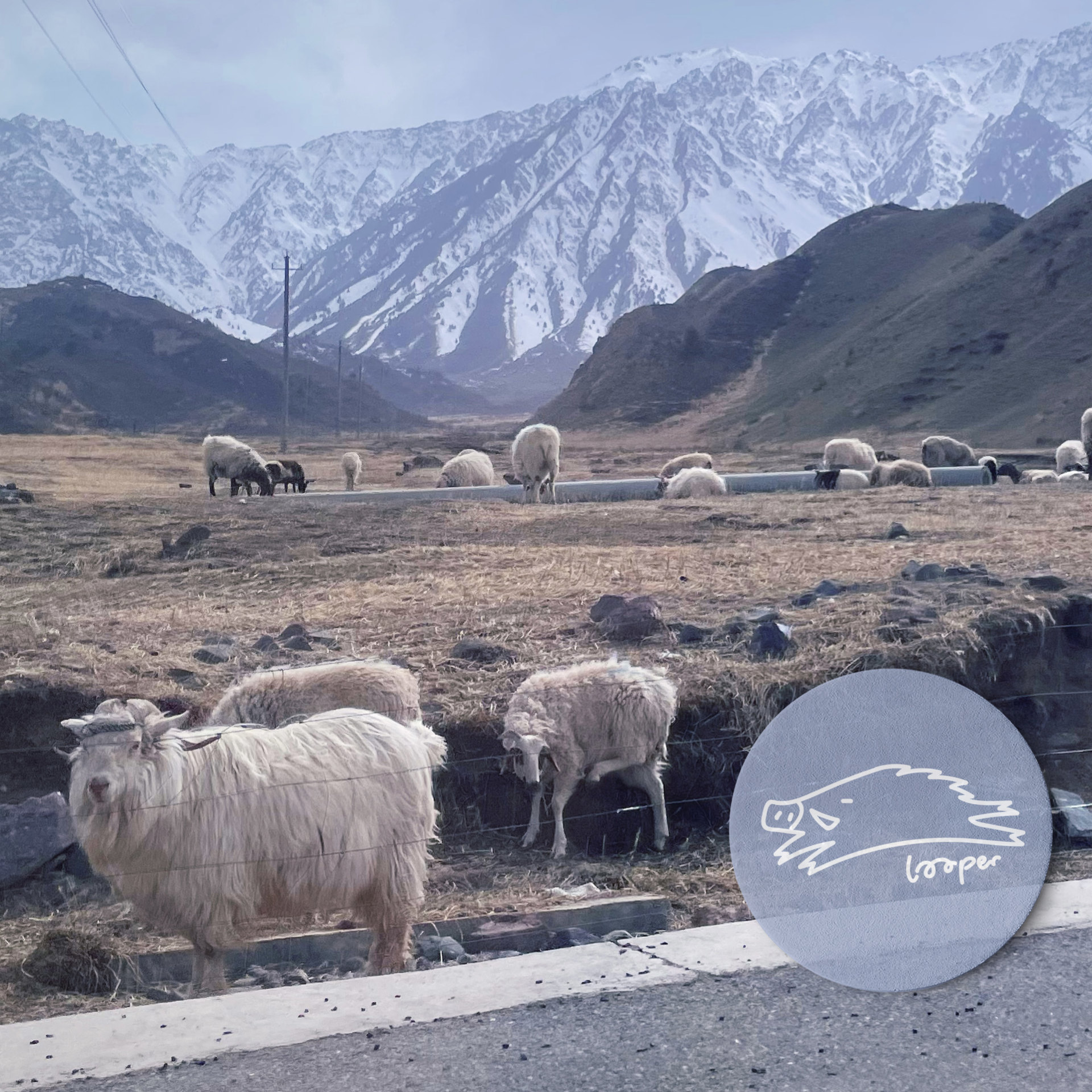 cover of episode  妈妈的怀里有片Mixtape海洋 