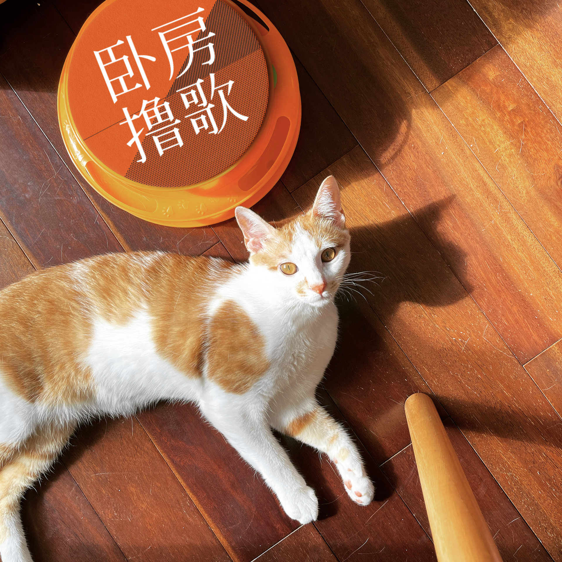 卧房撸歌