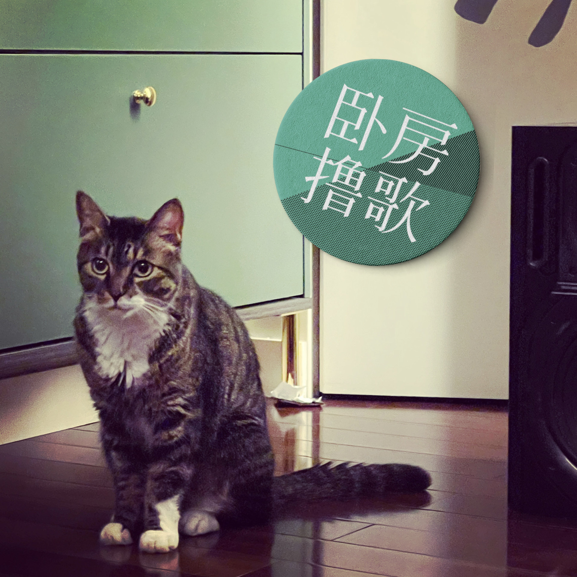 cover of episode  蝉，无尽的夏日，泳池补完Mixtape 