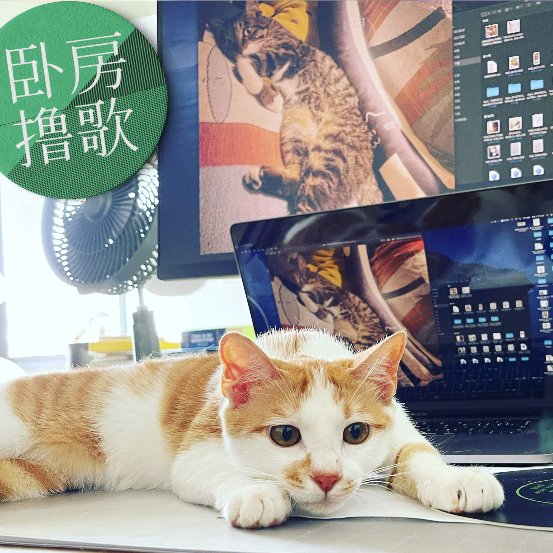 卧房撸歌