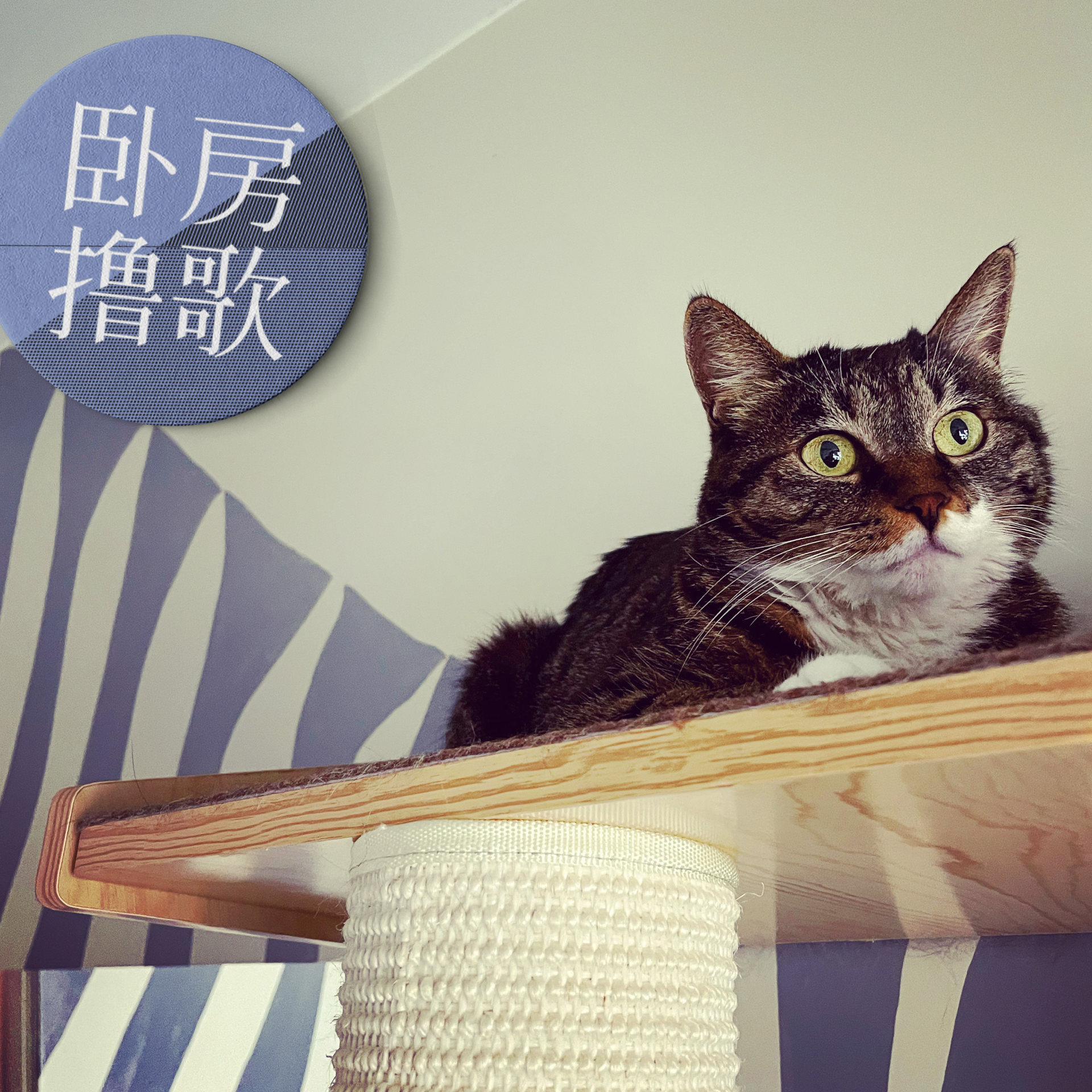 卧房撸歌