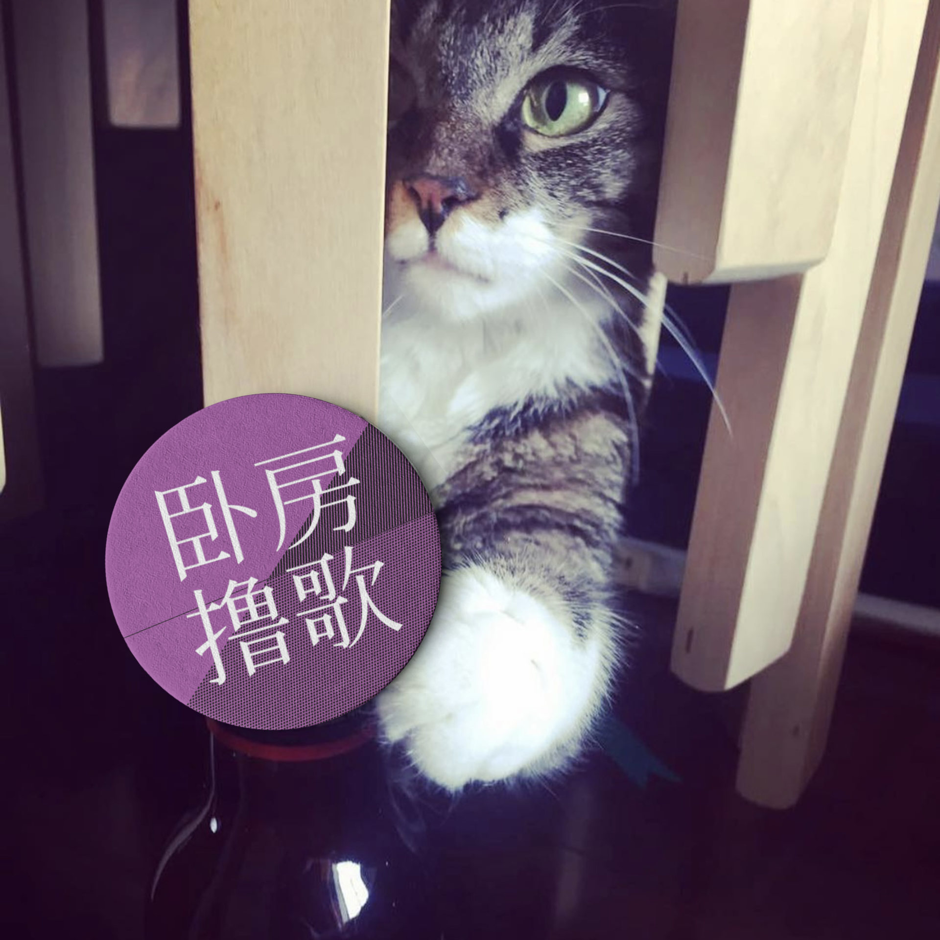 卧房撸歌