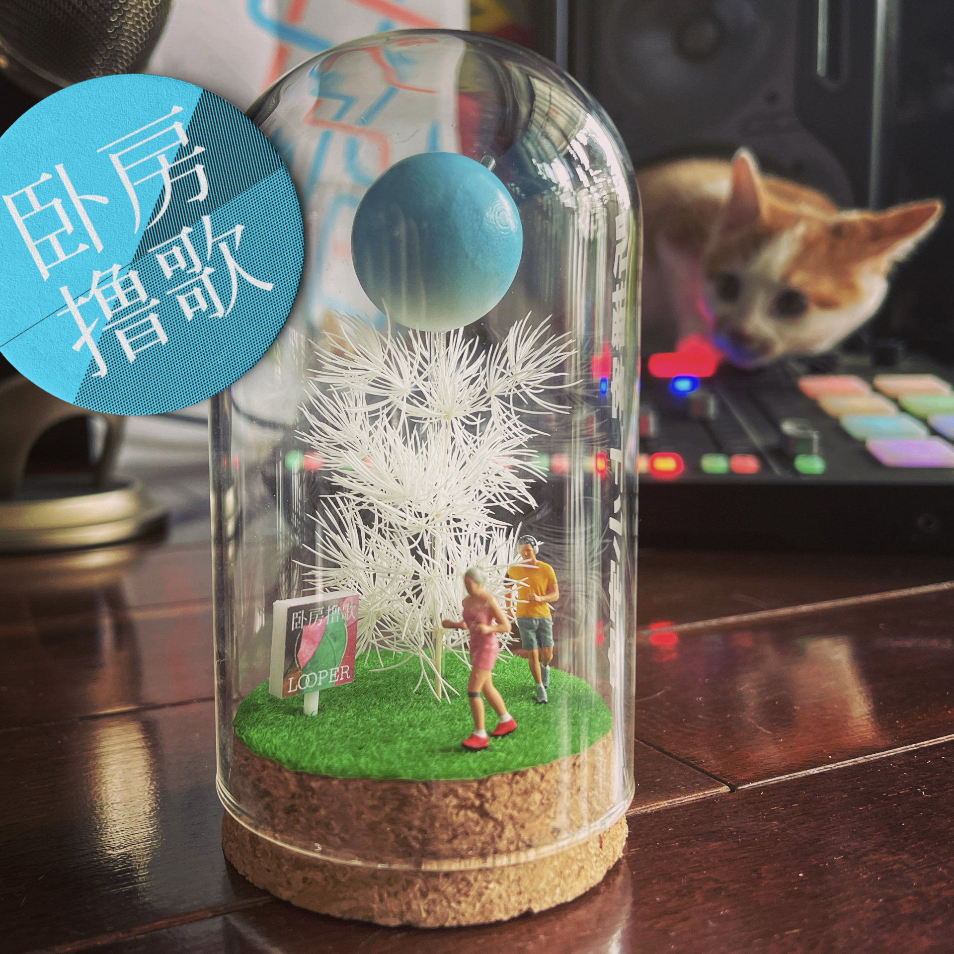 卧房撸歌