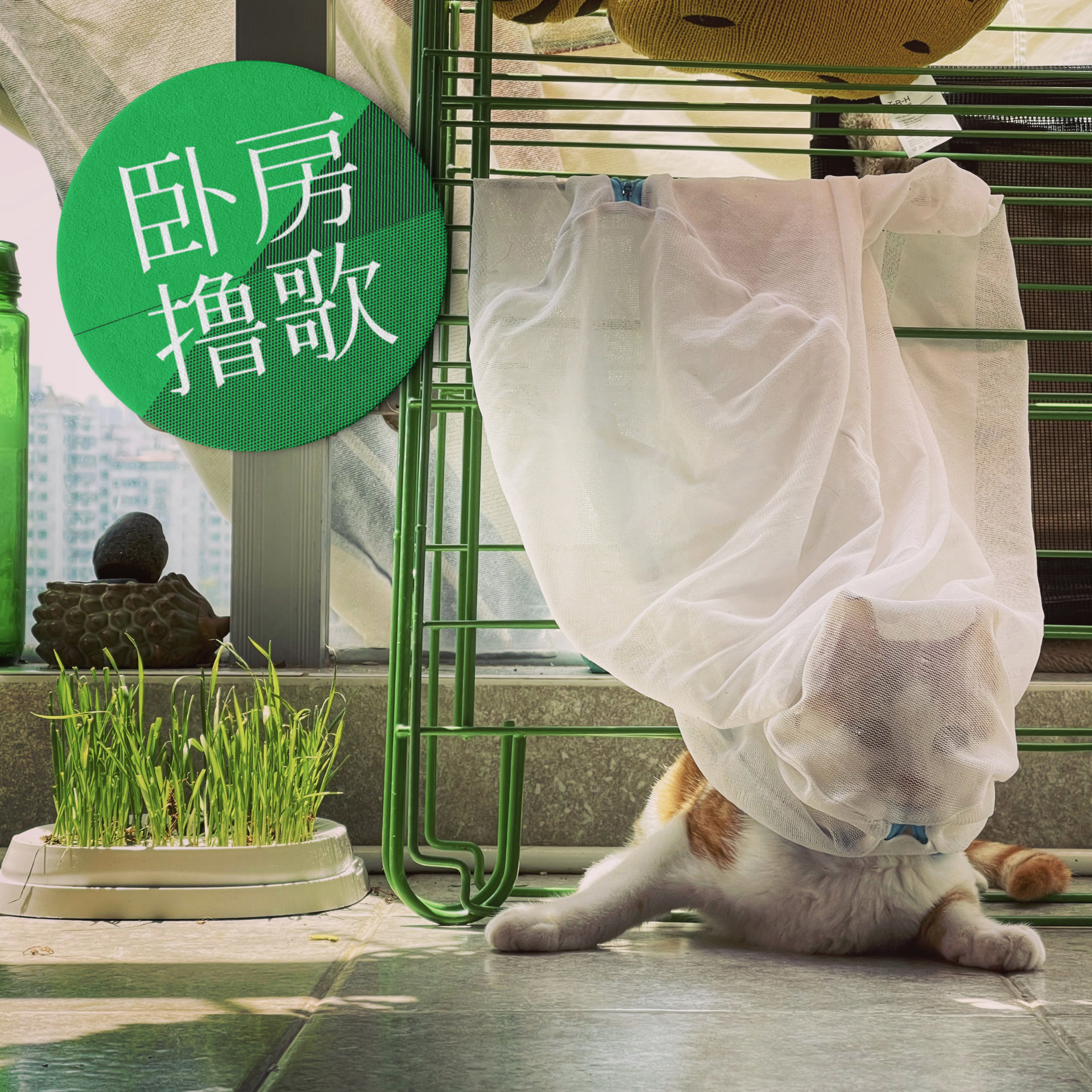 cover of episode  爱死机后，Colin Stetson卷入伊藤润二的漩涡，吹啊吹啊吹 