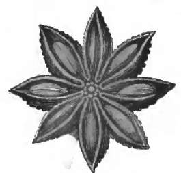 屏幕截图 2025-04-28 224812.png