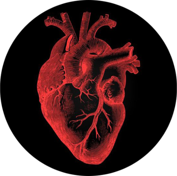 Midnight Darling logo