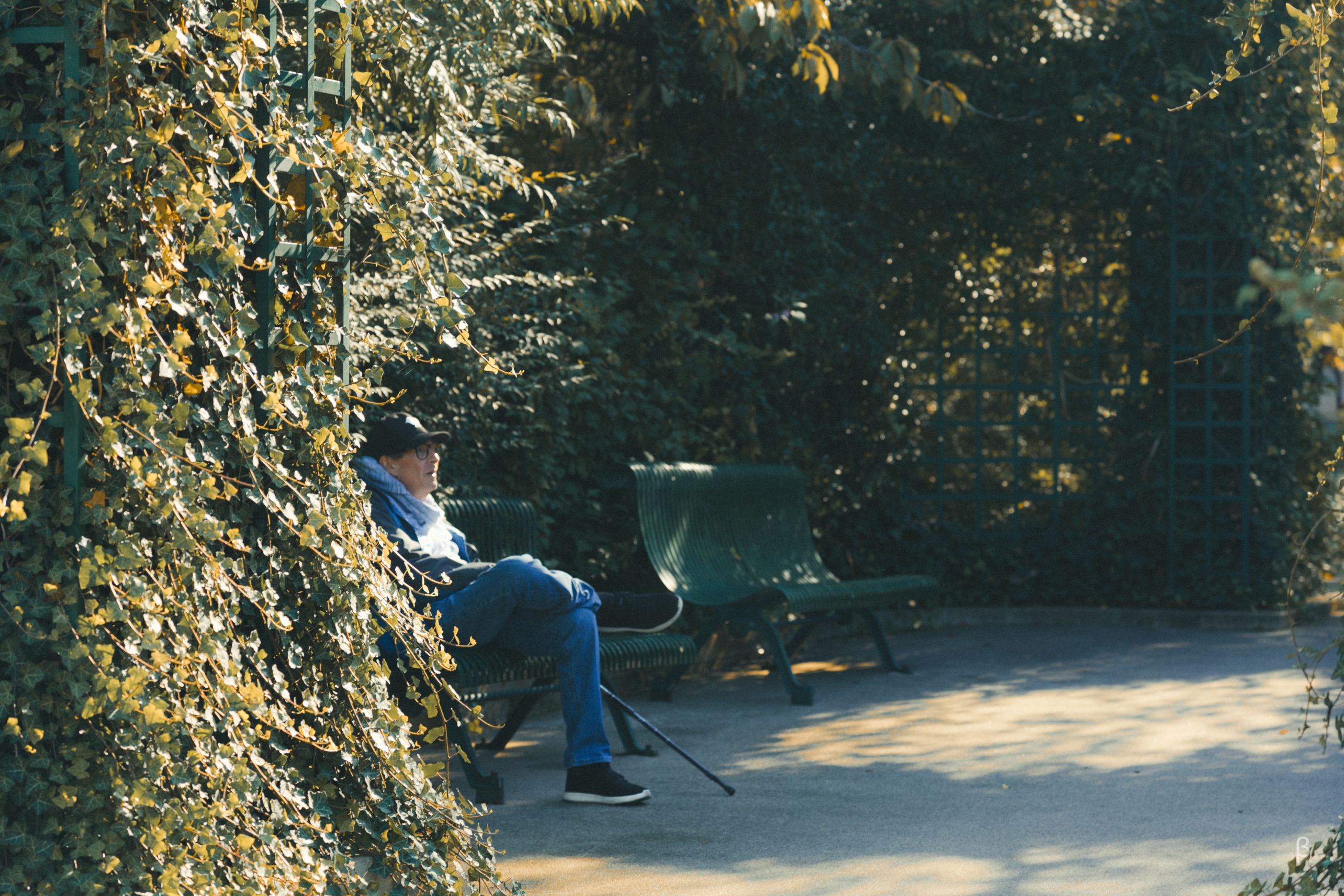 A person sits on a park bench surrounded by autumn foliage with golden yellow leaves. They're wearing blue jeans, a black cap, and a light-colored scarf. The scene is bathed in soft afternoon sunlight creating dappled shadows on the ground, with a walking cane visible beside them. The setting suggests a peaceful moment in a public garden or park.