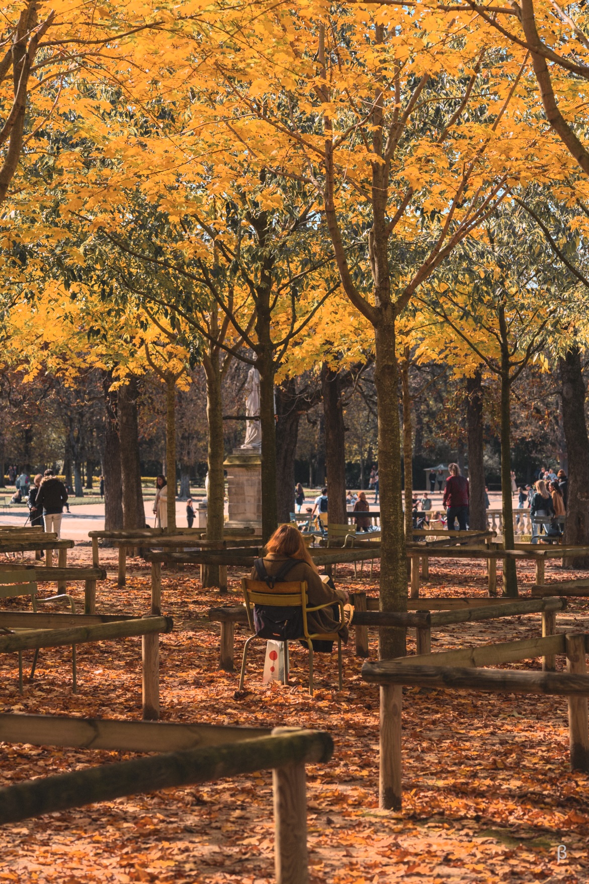 The image depicts a beautiful autumn scene in a park or public square. The trees lining the area are in full fall foliage, their leaves a vibrant mix of oranges, yellows, and greens. Fallen leaves cover the ground, creating a warm, earthy carpet. Several people are seated on benches scattered throughout the space, enjoying the peaceful atmosphere. In the background, a statue or monument can be seen partially obscured by the trees. The overall image captures the tranquil and picturesque nature of this public space during the autumn season.