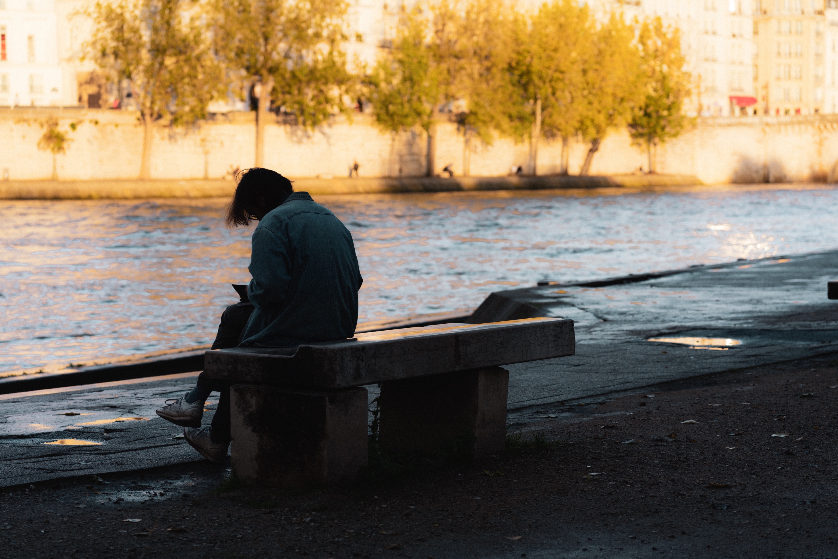 Afternoon by the Seine