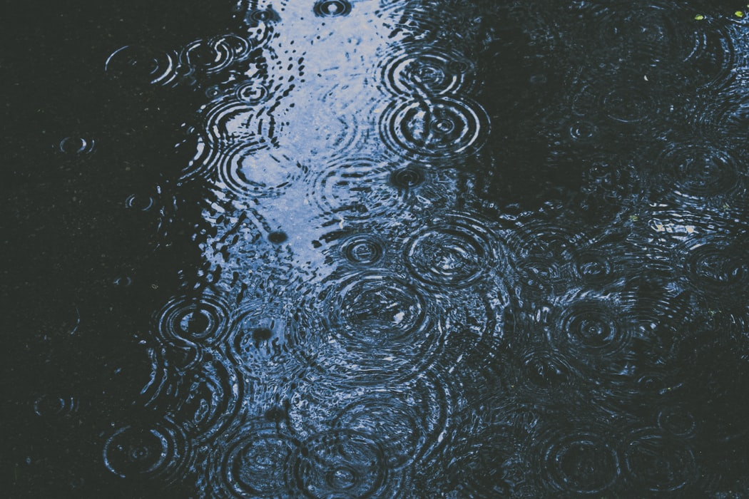 丢伞 cover