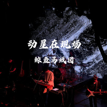 [动星vol.09] 探LIVE | 在鲸鱼马戏团北京站，听见风、海浪和内心的平静