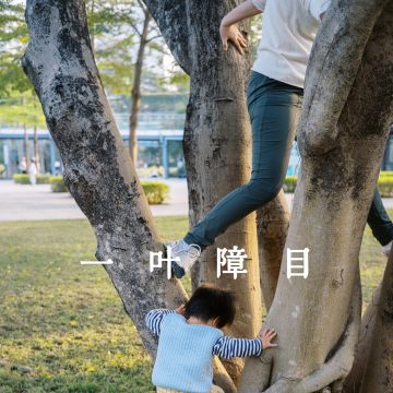 20 总结下拖更（带娃）一年多的书、影和展览