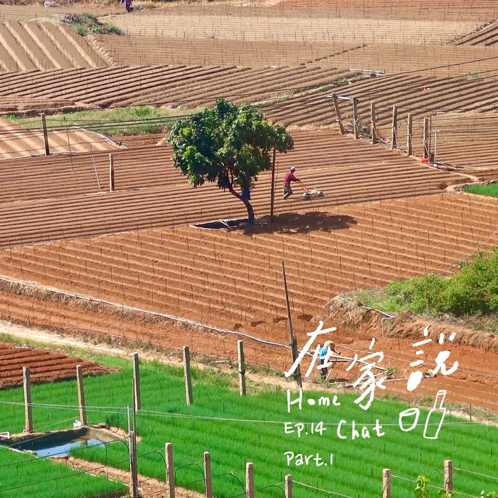 cover of episode  Ep.14｜Part1｜请回答2021，它答「生活即变化」 
