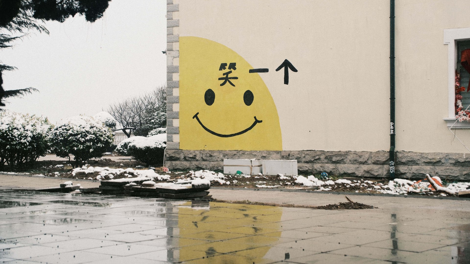 一些有趣的事实、巧合和数据 cover