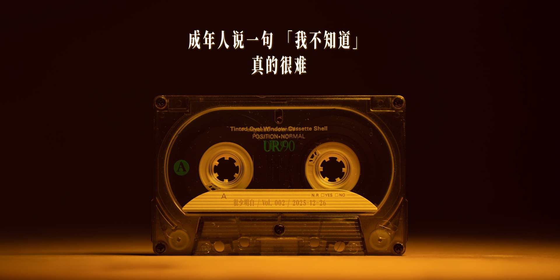 成年人说一句「我不知道」真的很难 cover
