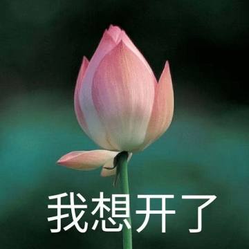 第三季 vol.3 公园相亲角：老年人最后的性狂欢