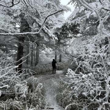 23「他们说看到蓝额长脚地鸲在游泳」