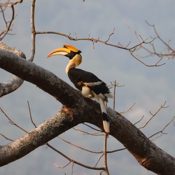 22 林中空地的童话时刻