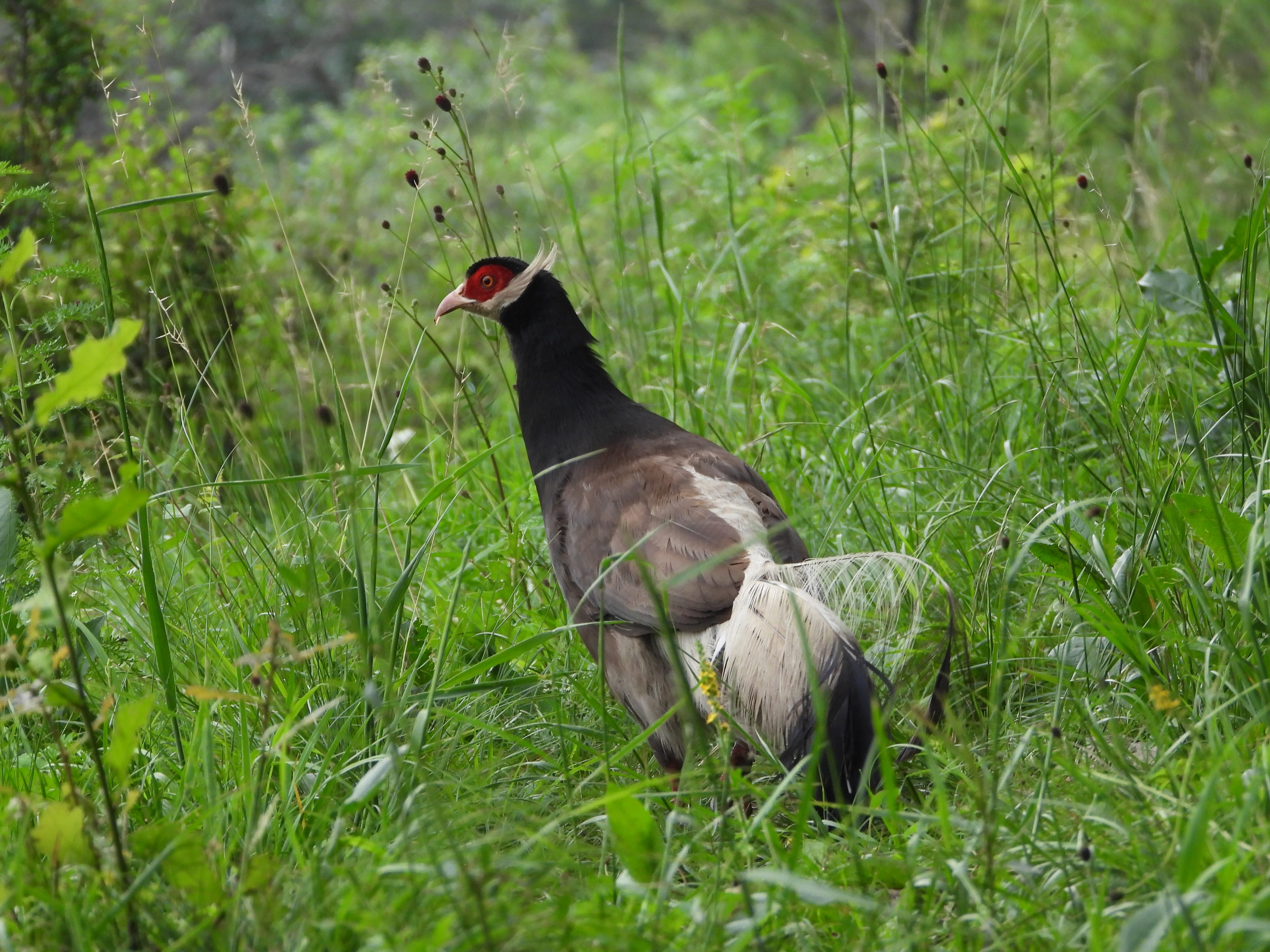 禾流文創童書團購【茜茜推薦｜2-6歲+ 幼童探索篇(下)｜情緒。生活。自主】2025下半年度最大團。獨家新品- 茜茜, image size:4608x3456