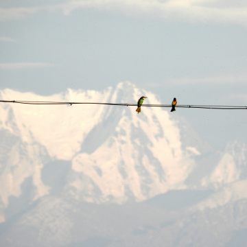 19 完美旅行就是人走了鸟还没走