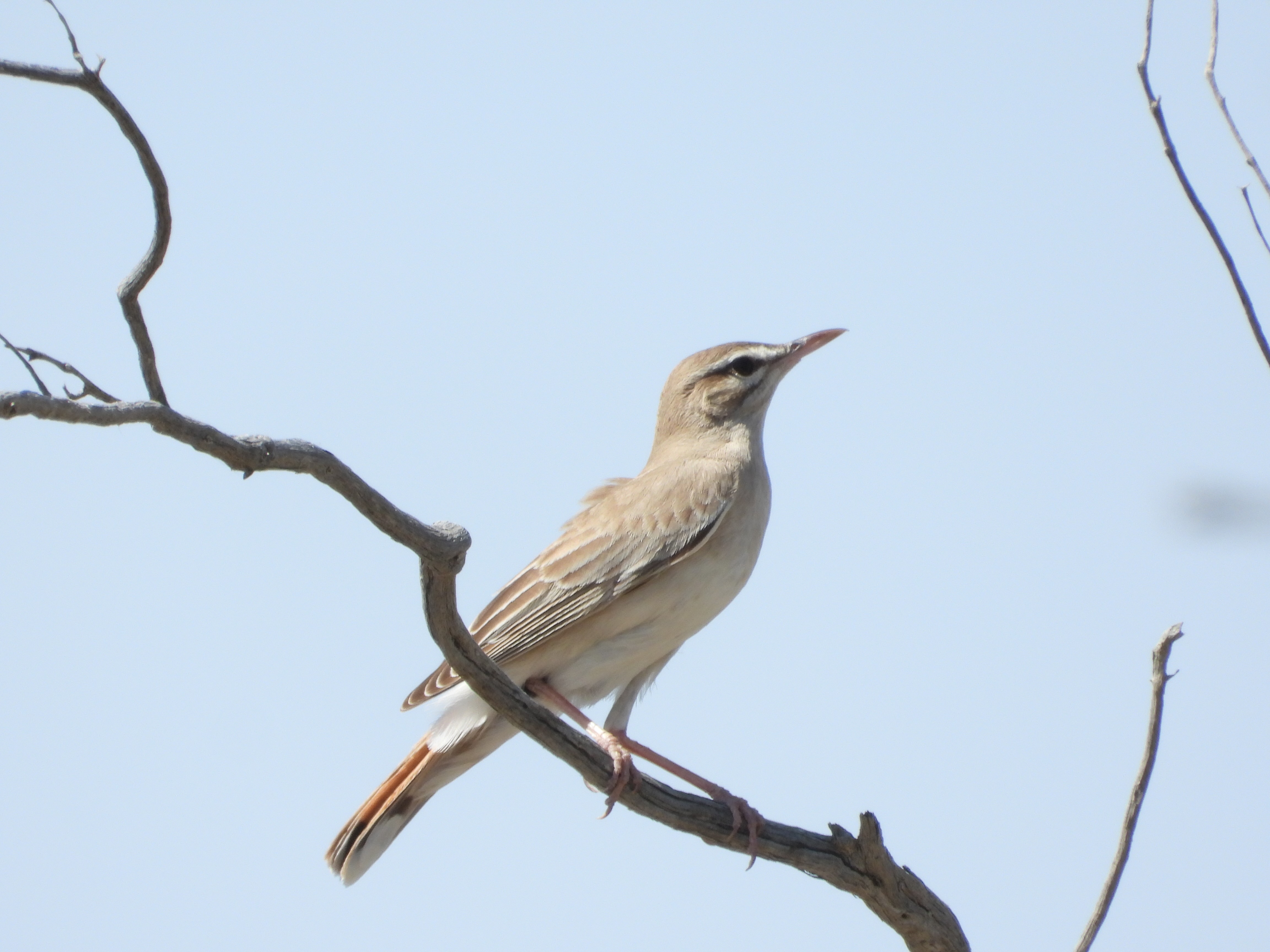 尼尔·奥尔登·阿姆斯特朗（Neil Alden Armstrong） - 美国续航教育, image size:4608x3456
