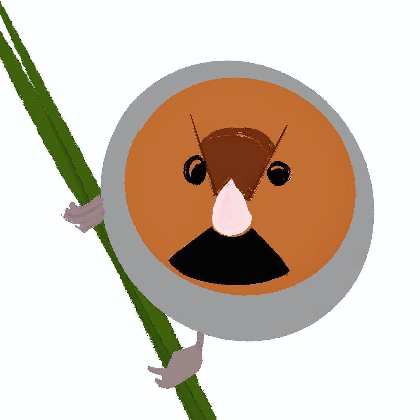 10 观音 · 听时：记录何以重要