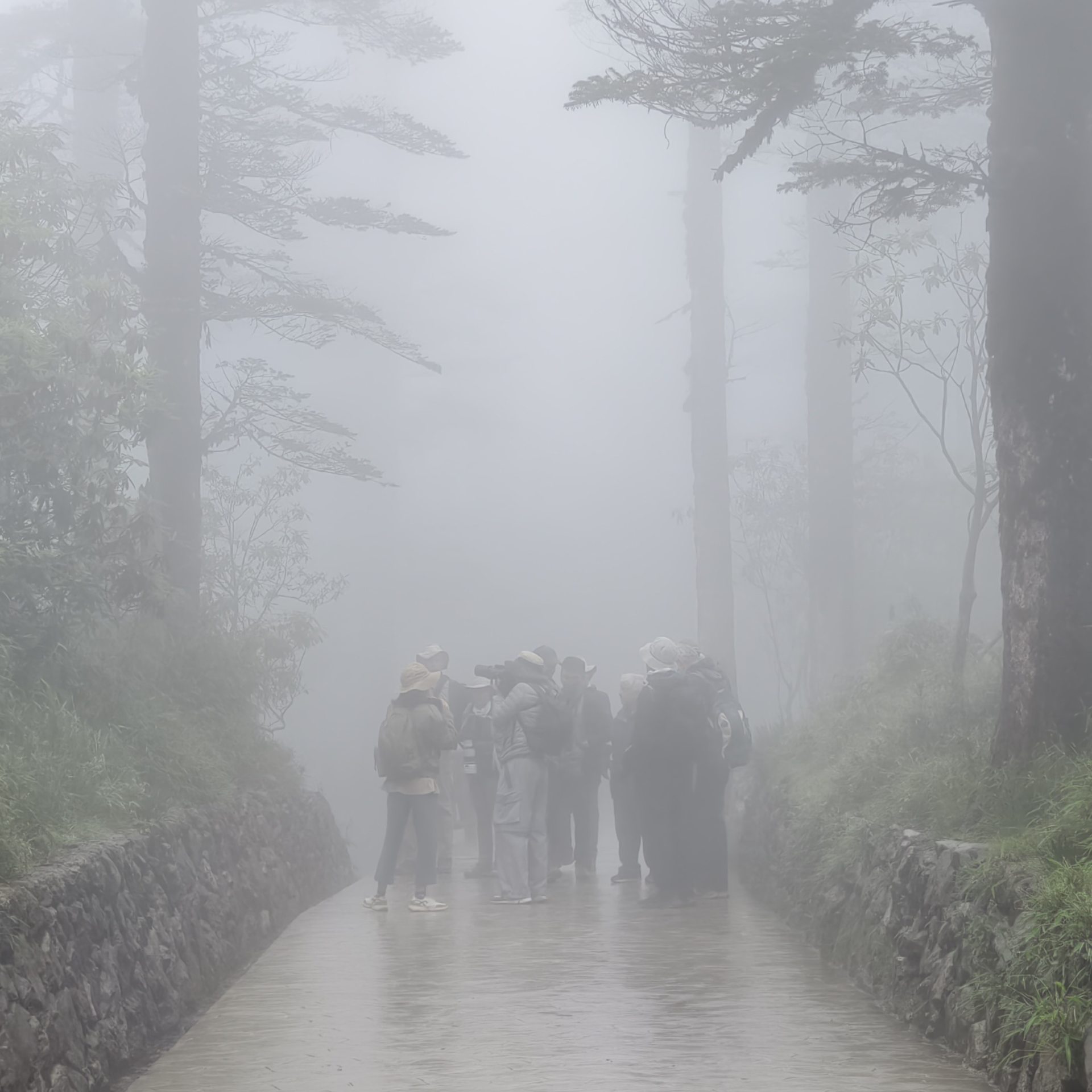 2 鸻旅鹇聊｜奇袭瓦屋山