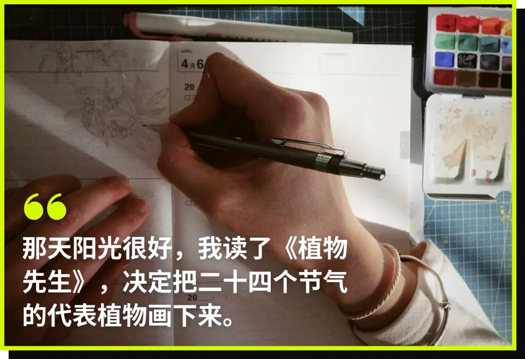 顶图.webp