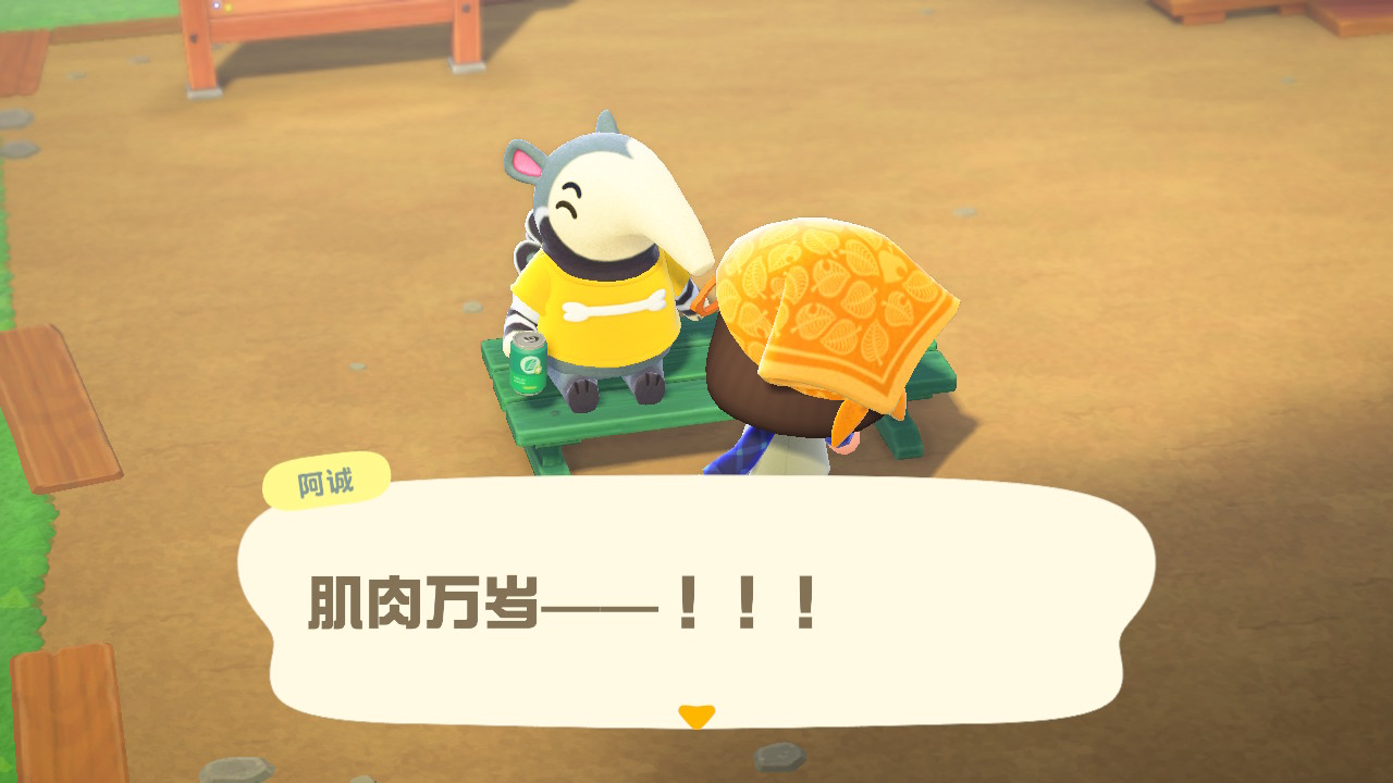 IMG_1381.PNG